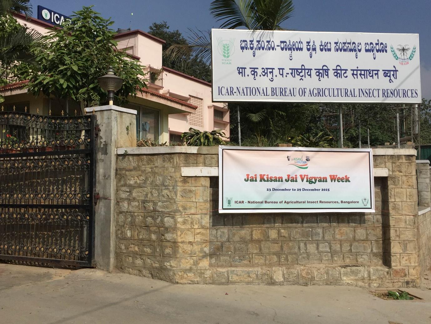 kisan