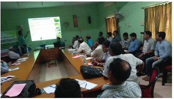 Record of Rugose Spiralling Whitefly Aleurodicus rugioperculatus in West Bengal
