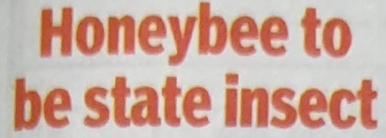 Honeybee to be state insect-TNN news