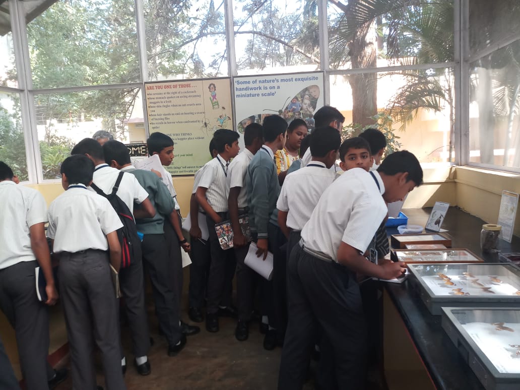 School children visit to Insectarium, NBAIR, Bengaluru