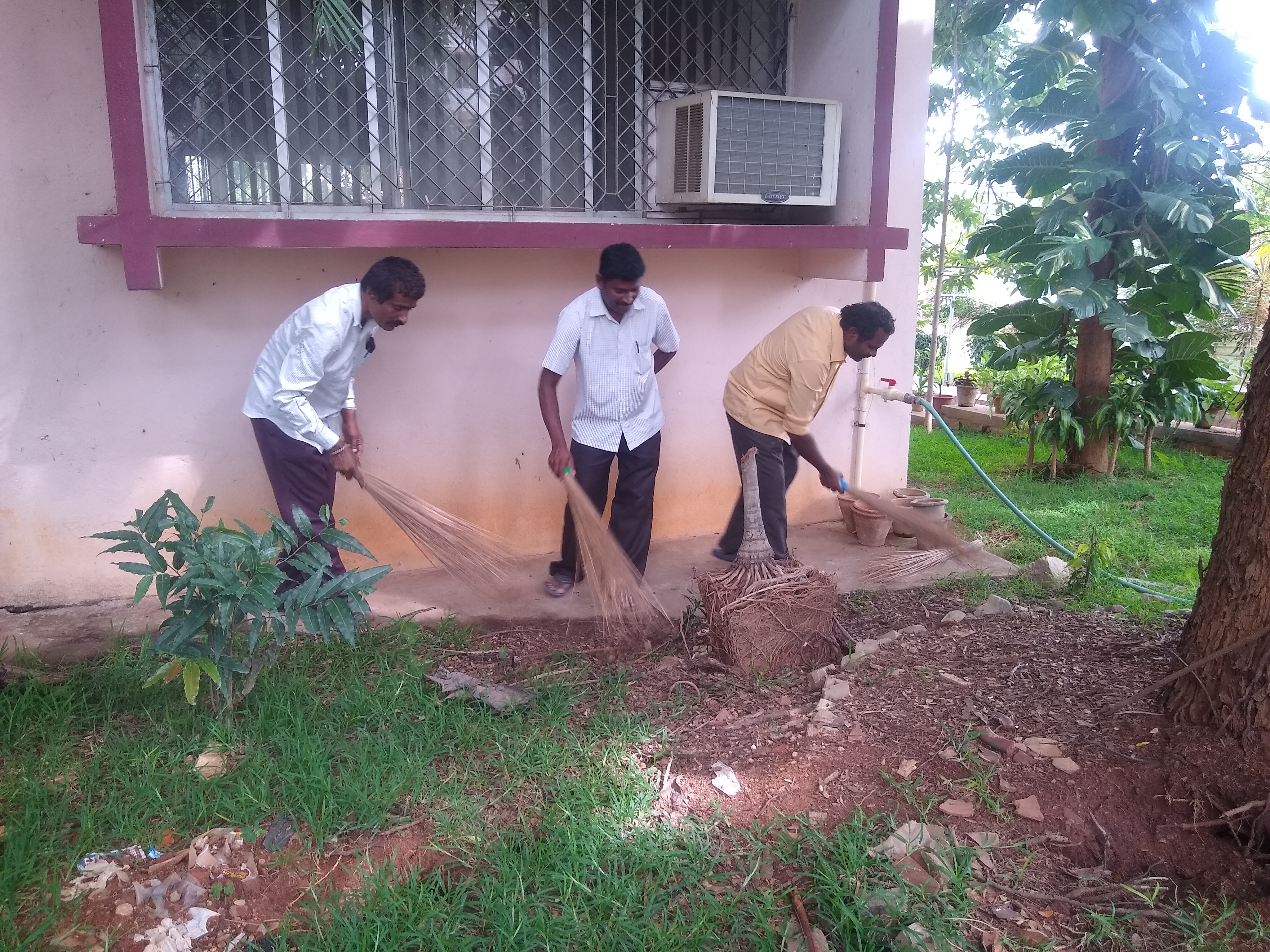 Swachh Bharat activities at ICAR-NBAIR, Bengalore