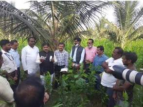 Honorable Minister of Horticulture and Sericulture Shri R. Shanker shows keen interest in the biological control of whitefly on coconut