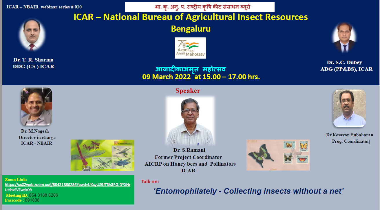 Webinar
