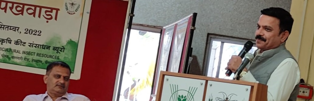 hindi pakwada