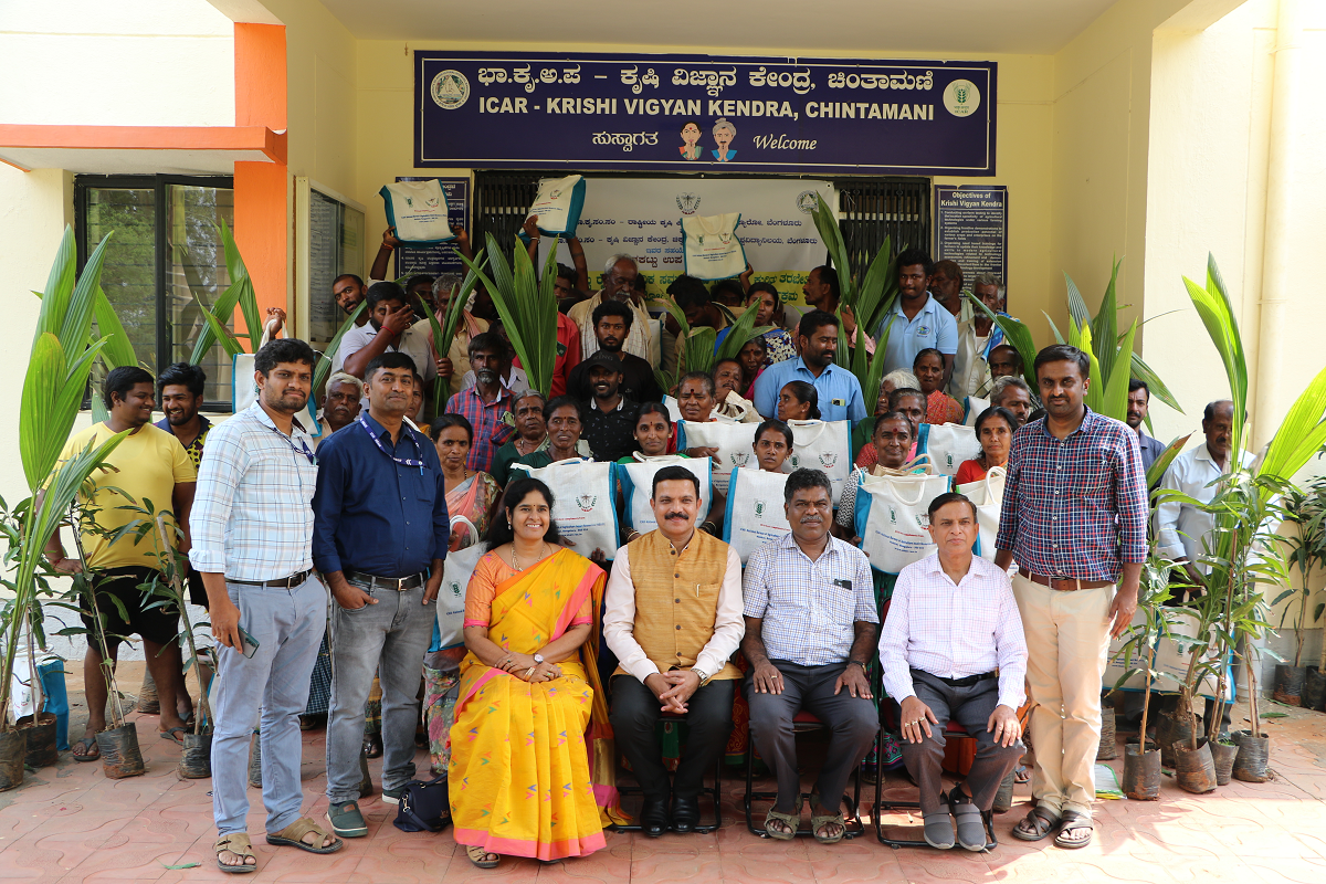 TSP program