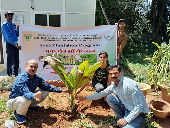 ‘Ek Ped Maa Ke Naam’ Plantation drive and  Social media campaign about launch of Swachhta program on 16-09-2024