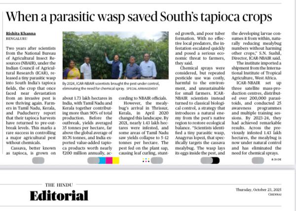 thehindu