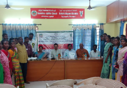 Regional Millet mela
