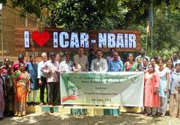 environment day